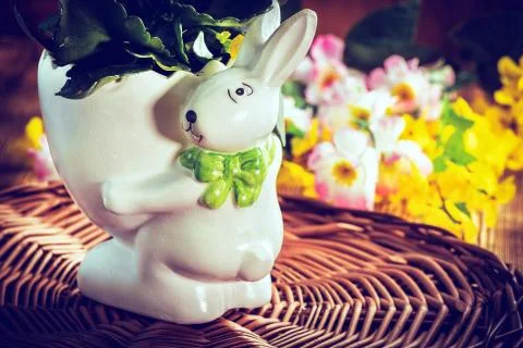 Flowers in a pot. Stock Photos