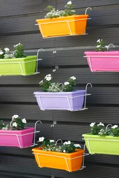 Flowers in pot on wall Stock-Fotos