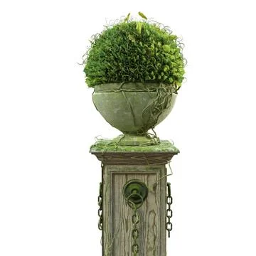 Flowers in pots Stock Illustration