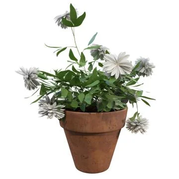 Flowers in pots Stock Illustration