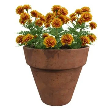 Flowers in pots Stock Illustration
