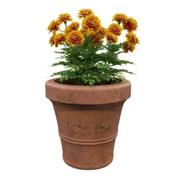 Flowers in pots Stock Illustration