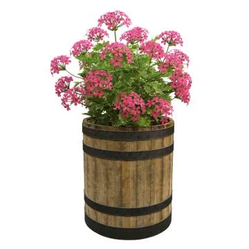 Flowers in pots Stock Illustration