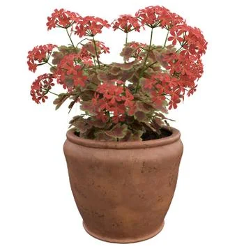Flowers in pots Stock Illustration