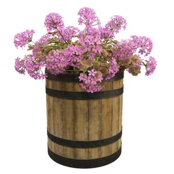 Flowers in pots Stock Illustration