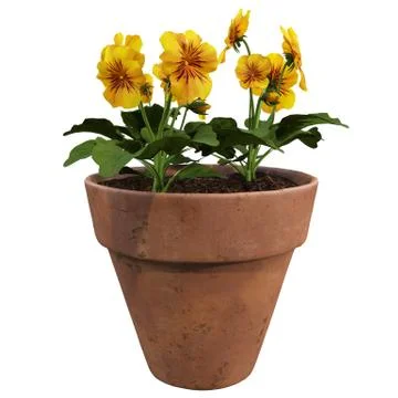 Flowers in pots Stock Illustration
