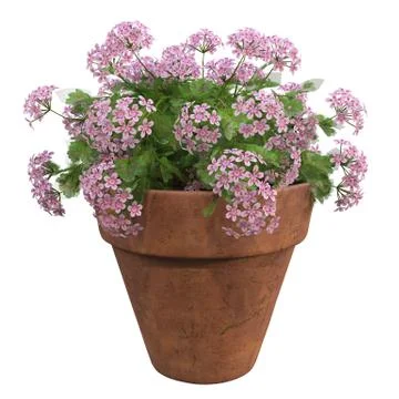 Flowers in pots Stock Illustration