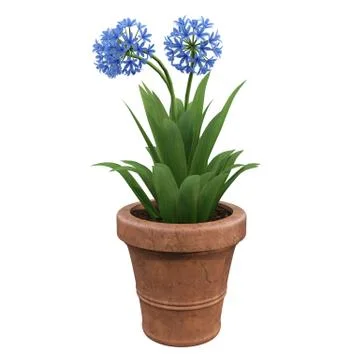 Flowers in pots Stock Illustration