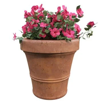 Flowers in pots Stock Illustration