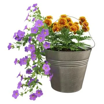 Flowers in pots Stock Illustration