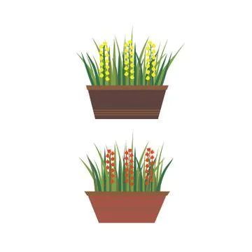 Flowers in pots Stock Illustration