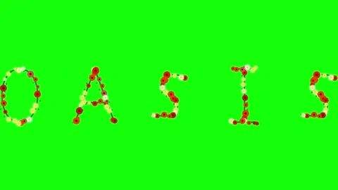 Flowers Professional Isolated Green Screen Stock Video Video stock 337996589