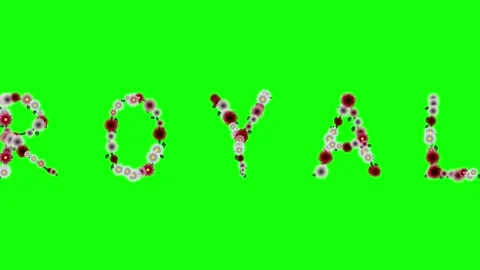 Flowers Professional Isolated Green Screen Stock Video Stock Footage 337996678