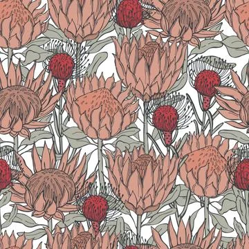 Flowers protea.  Vector  pattern Stock Illustration