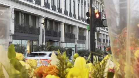 Flowers in Pub Window with Traffic Light at Dusk London Vidéo 332909816