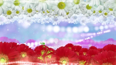 Flowers R Video stock 110225905