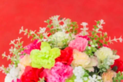 Flowers on red background Stock Photos