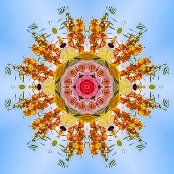 Flowers reflected radially into an abstract design 写真素材