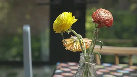 Flowers removed from table Slow motion Stock Footage 131760383