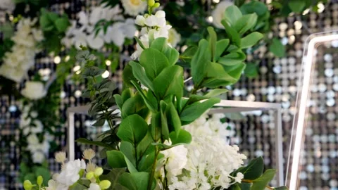 Flowers in a restaurant Stock Footage 156168876