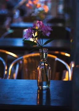 Flowers on the restaurant  table Stock Photos