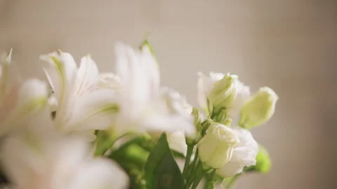 Flowers resting on kitchen surface. Delicate lilies amid warm beige tiles Stock Footage 348298653