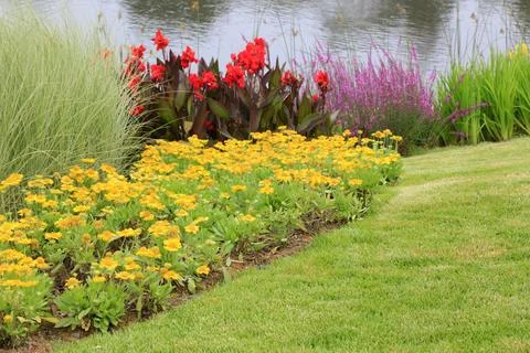 Flowers by the river 스톡 사진