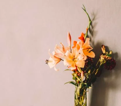 Flowers In Room Stock Photos