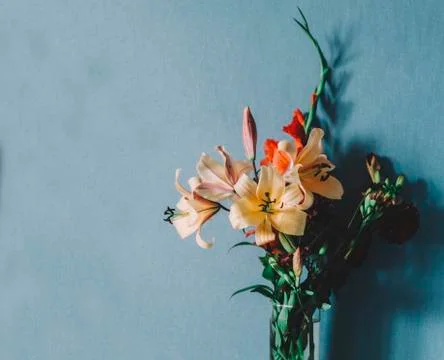 Flowers In Room Stock Photos