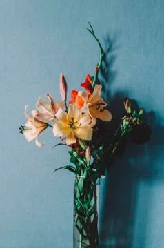 Flowers In Room Stock Photos
