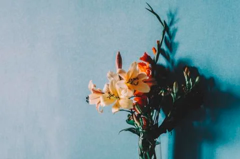Flowers In Room Stock Photos