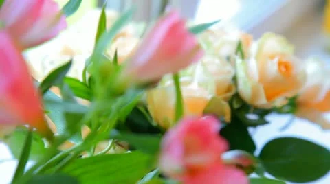 Flowers, roses, orchids Stock Footage 11022984