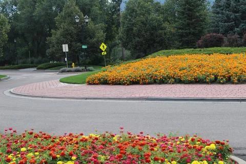 Flowers with roundabout Stock Photos