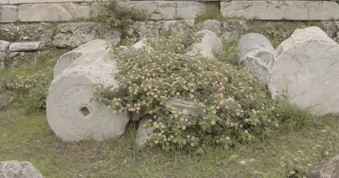 Flowers on ruins Stock Footage