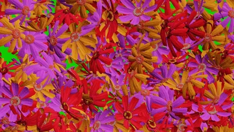 Flowers scattered on green screen background Stock Footage 203781630