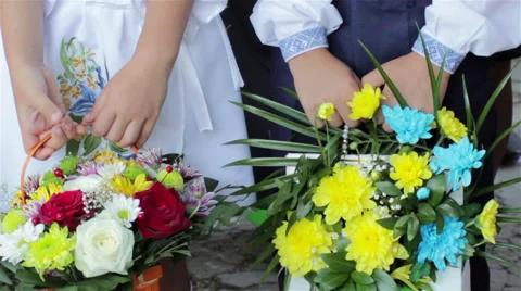 Flowers schoolboy Stock Footage 54159852