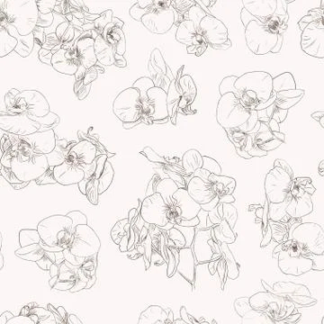 Flowers seamless pattern background line illustration orchids. Floral element Illustrazione stock