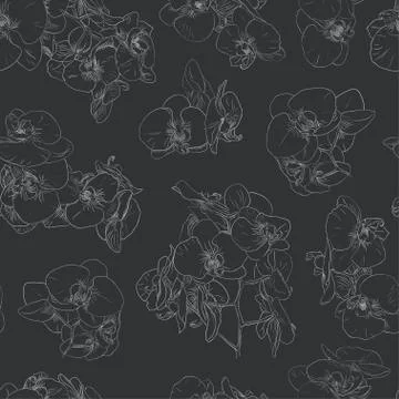 Flowers seamless pattern background line illustration orchids. Floral design Stock Illustration