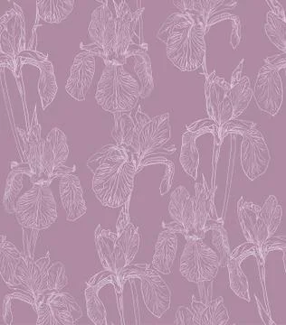 Flowers seamless pattern background line illustration iris. Floral design Stock Illustration