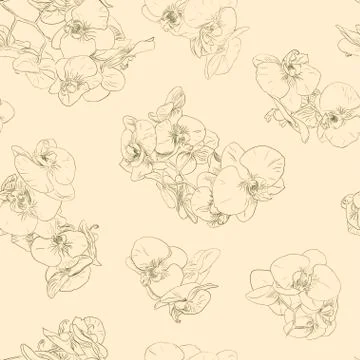 Flowers seamless pattern background line illustration orchids. Floral elements. Stock Illustration