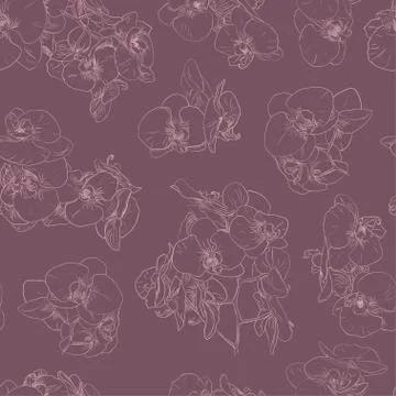 Flowers seamless pattern background line illustration orchids. Floral elements. Stock Illustration