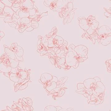 Flowers seamless pattern background line illustration orchids. Floral elements. Stock Illustration