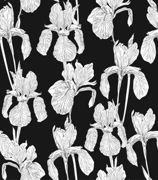 Flowers seamless pattern background silhouette illustration iris. Floral design Stock Illustration