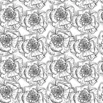 Flowers seamless pattern black and white hand-drawn background for wallpaper, Stock Illustration