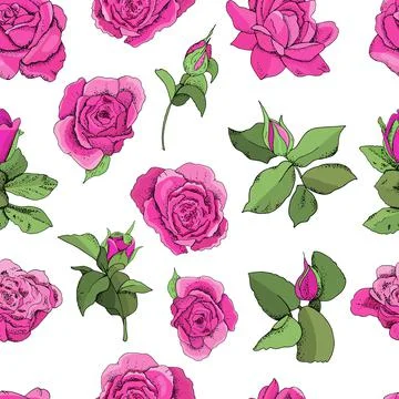 Flowers seamless pattern isolated on white background. Vector hand drawn illu Stock-Illustration