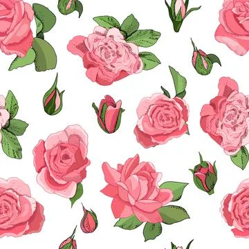 Flowers seamless pattern isolated on white background. Vector hand drawn illu Stock Illustration
