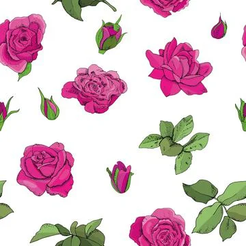 Flowers seamless pattern. Vector hand drawn illustration of roses. Stock Illustration