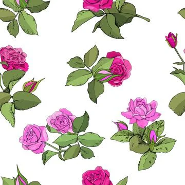 Flowers seamless pattern. Vector hand drawn illustration of roses. For textil Stock Illustration