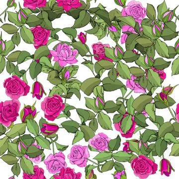 Flowers seamless pattern. Vector hand drawn illustration of roses. For textil Stock Illustration