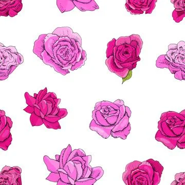 Flowers seamless pattern. Vector hand drawn illustration of roses. For textil Stock Illustration